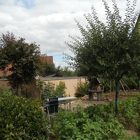 Appartement Rentz Martine à Riquewihr Extérieur photo